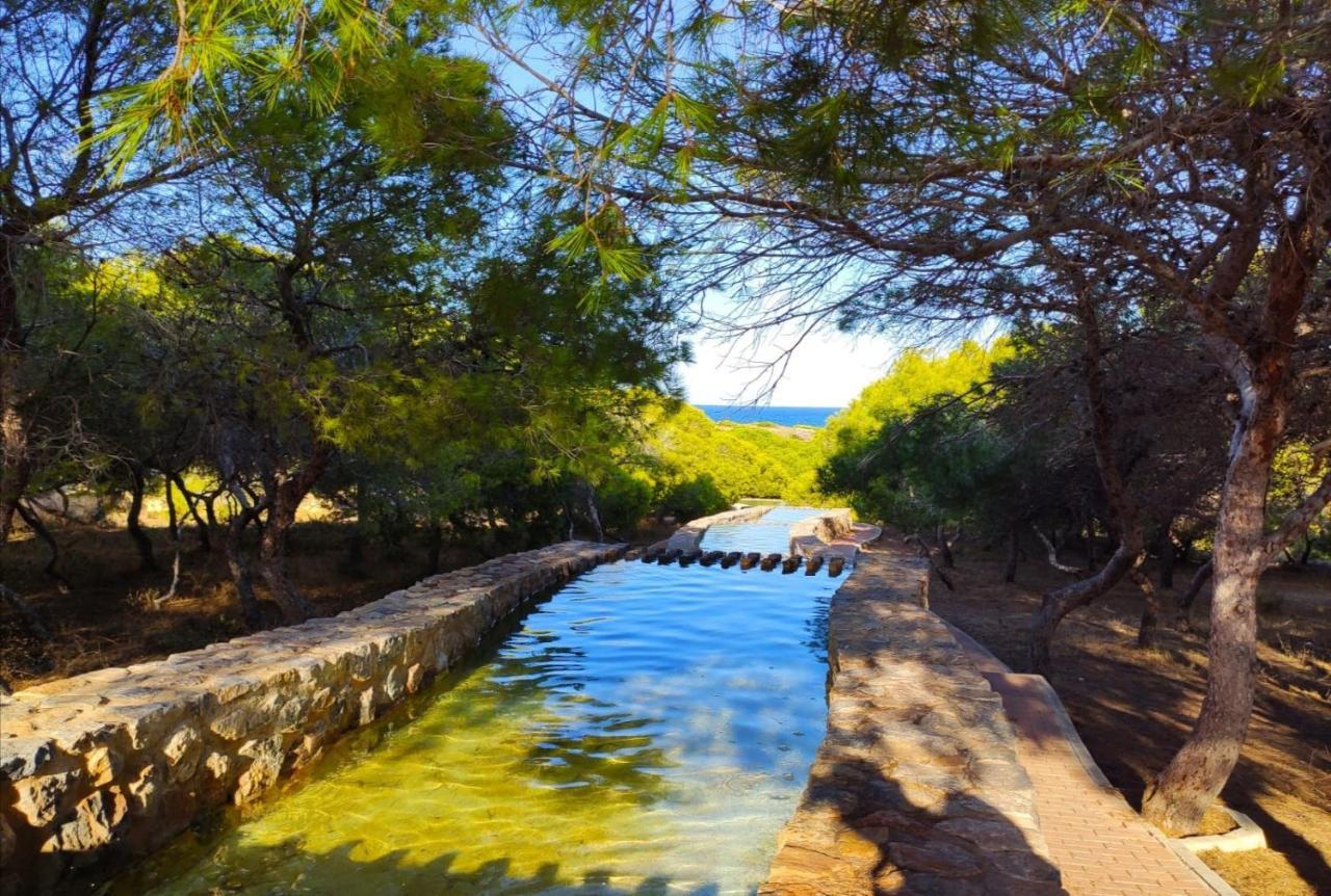 Eldorado Apartment La Mata La Mata  Zewnętrze zdjęcie